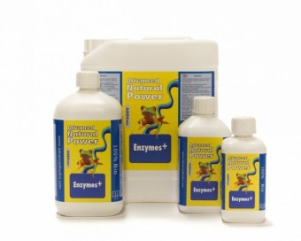 ahh enzymes+.jpg5ad8560dc4e95.jpg